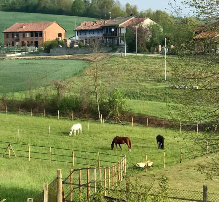 Appartamento In Cascina -La Cascinetta Di Ali- Roatto Exterior foto